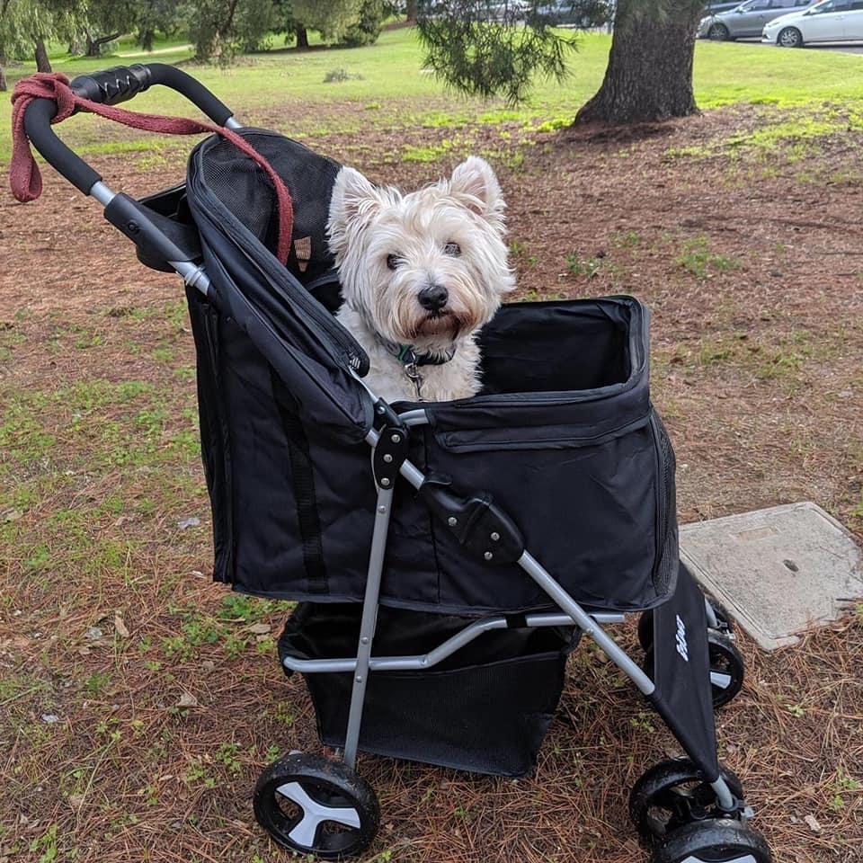 Foldable Pet Stroller