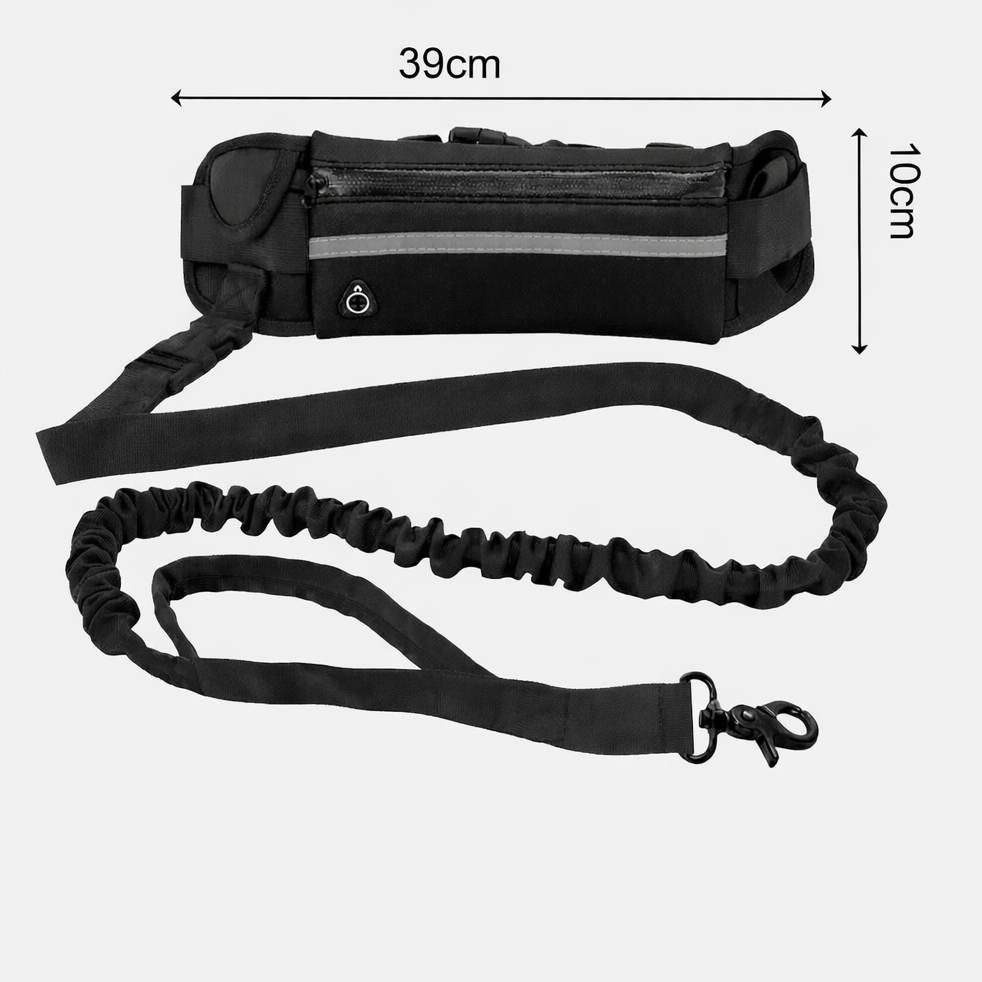 Hands-Free Waist Bag + Leash