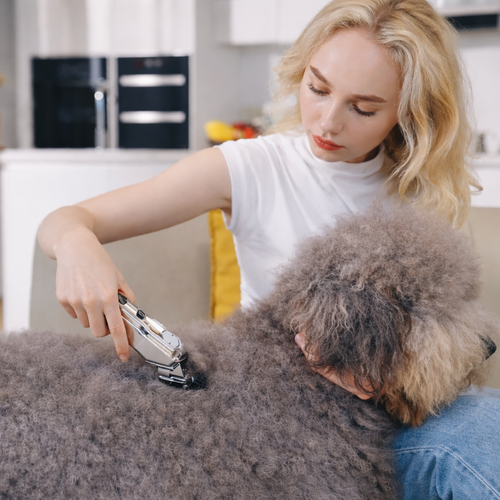 Low-Noise Cordless Pet Grooming Clippers